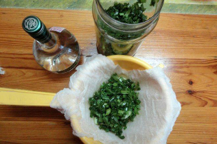 kolanchoe és vodka tinktúra